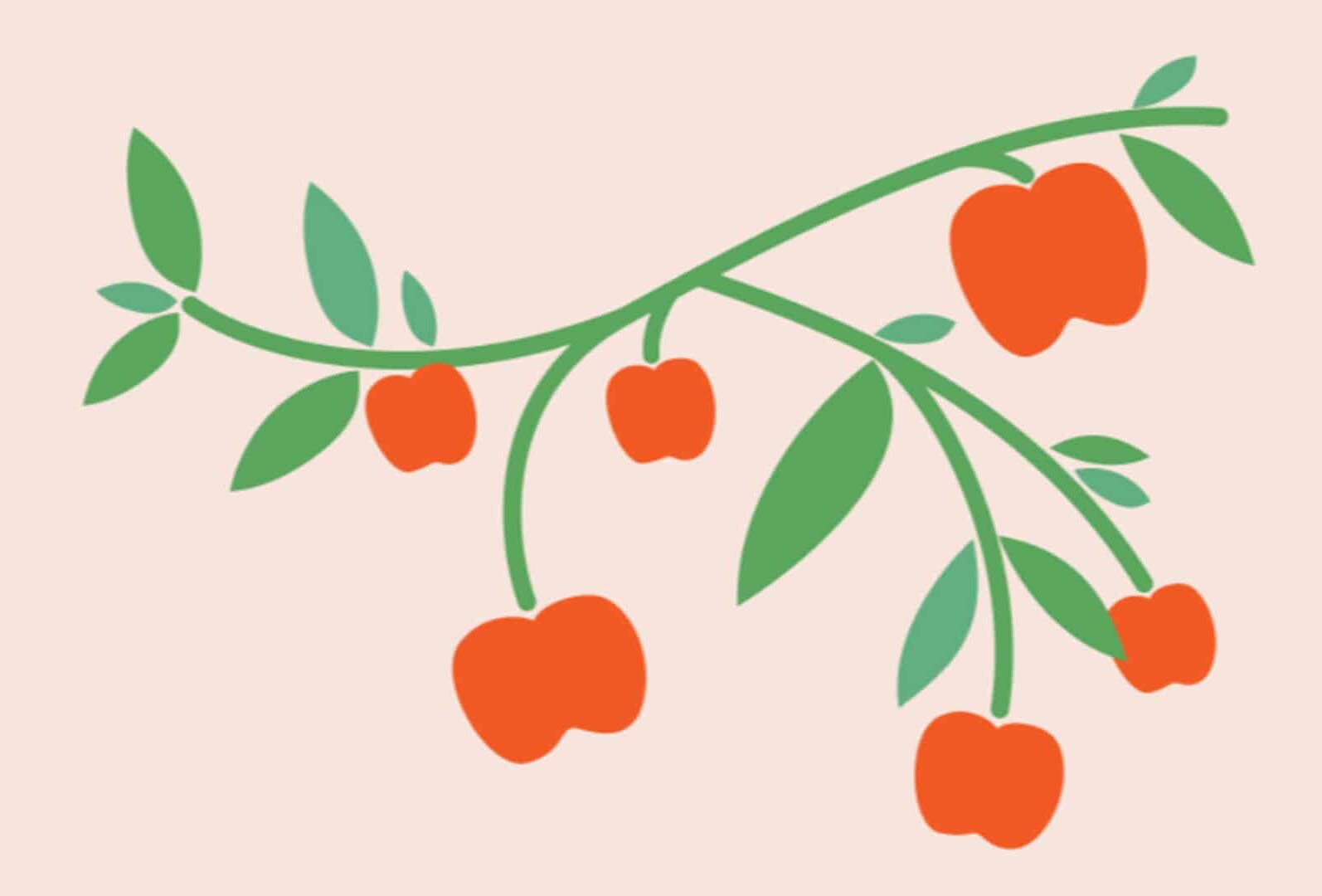 A stylized illustration of a green leafy branch with six orange, bell-shaped fruits against a pale pink background.